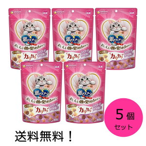 yN[|pōő7OFFzjE`[ ̃Xv[ 炪邨 JJ V[t[h ߓ 60g×5Zbg@L