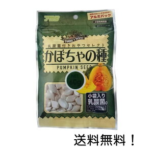 yN[|pōő7OFFzA^ _ەtZNg ڂ̎ 60g   nX^[ X bg ԐH