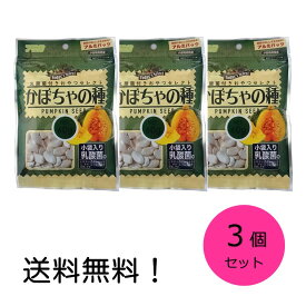 【クーポン利用で最大7％OFF】アラタ 乳酸菌付きおやつセレクト かぼちゃの種 60g 3個セット 小動物 うさぎ ハムスター リス モルモット 間食