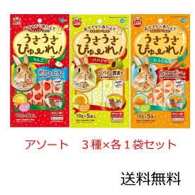 【クーポン利用で最大7％OFF】マルカン うさうさぴゅーれ アソート 3味×各1セット (りんご・にんじん・パパイヤ/各10g×5本入) ミニマルランド うさぎ モルモット ハムスター モモンガ チンチラ デグー 小動物