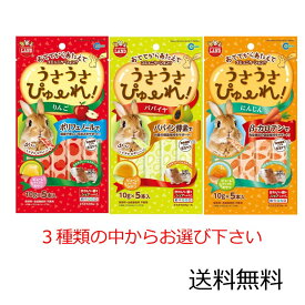 【クーポン利用で最大7％OFF】マルカン うさうさぴゅーれ りんご、パパイヤ、にんじんの3種からお選び下さい。 10g×5本入×1袋 ミニマルランド うさぎ モルモット ハムスター モモンガ チンチラ デグー 小動物