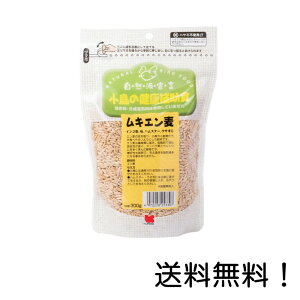 yN[|pōő7OFFzybgt[h Rh錾@LG@300g