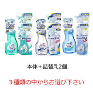 【クーポン利用で最大7％OFF】メガネのシャンプー　除菌EX 本体+つめかえ用2個セット ミンティベリーの香…