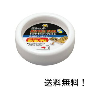 yN[|pōő7OFFzXh[ v^CfBbV S ঒ޗp GT 