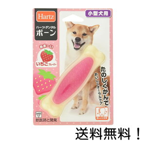 yN[|pōő7OFFzn[c (Hartz) f^{[ M t[o[