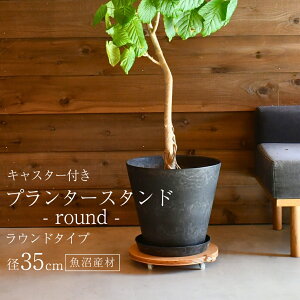 yyVSPSALEԃZ[Ώہzvg[o[ ړ v^[X^h  LX^[t Eh a35cm  A t[X^h ~` ی^ ] v^[ uiVR