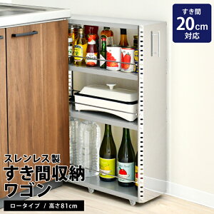 y10{܂łɂ͂܂z[sssZNg]XeXԎ[S 20cm [^Cv b { 쏊  Xyp  ȃXy[X Lp Lb`[ X  