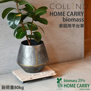 [sssZNg]COLLEND z[L[EoCI}Xii`jƒp | { ω׏d80kg  A RpNg É C_XgA GR v^[ [  x_ 