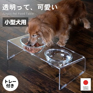 [sssZNg]ANybgt[he[uS ^p XeXg[t zNN