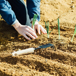 yGg[wPő100obNzk tH[N () 8cm b K[fjOp 쐭X { ߓ쏊 L  b艮 |p vdl 낢 ƒ؉ v^[ x