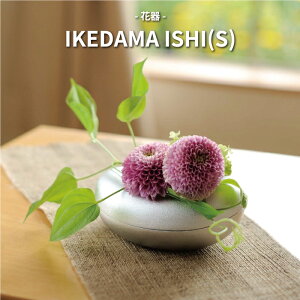 [IXX]IKEDAMA ISHI(S) CeA Ԋ  { lIX ȉԊ a rO _CjOe[u Ԃ𐶂鐶 Mtg A~jE Ԋ