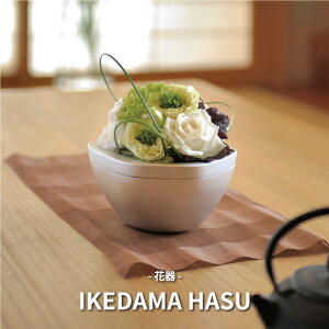 [sssZNg]IKEDAMA HASU CeA Ԋ  { lIX ȉԊ a rO _CjOe[u Ԃ𐶂鐶 Mtg A~jE Ԋ