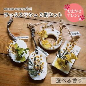 yGg[wPő100obNz_Ŗ₵^ A}bNXTVF 3SET Iׂ鍁  Iׂ` IׂJ[ nimivalo nhCh  킢 Mtg 낢