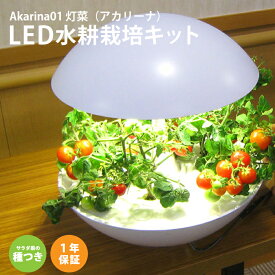 【6/5限定クーポン!店内全品5%OFF!!】Akarina 01RN2 灯菜（アカリーナ）LED 水耕栽培 キット ｜ 家庭菜園 家庭用 インテリア ホワイト タッチライト タイマー付き おしゃれ ハーブ 葉物野菜 プランター 室内 培地スポンジ付 植物育成ライト サラダ菜種子付き