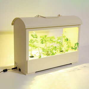 �y�G���g���[���w����P�ő�100���o�b�N�zAkarina05 LED�A���͔|�� ���� ��q�t �b ��؂�n�[�u�������ň�Ă�L�b�g �����ŉƒ�؉� MotoM OMA05 1�N�ۏ�