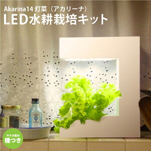 [IXX]LED k͔|Lbg S҂ȒP ŉƒ؉ qt 1Nۏ MotoM Akarina14  ƒ؉ pzCg CeA ^C}[t n[u t v^[ |nX|