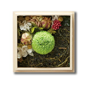 [IXX]bZ[WJ[ht ؔ CeAt[ Fw w TAJIROH[ a s F t[ t ؔ  Mtg v[gvU[uht[ j LO 