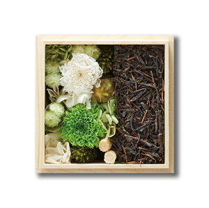 [IXX]bZ[WJ[htؔ肨ԂƐ̃Zbg  w\ TAJIROH[ a s F t[ t ؔ  Mtg v[gvU[uht[ j L