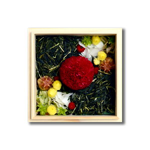 [sssZNg]bZ[WJ[ht ؔ肨ԂƐ̃Zbg s ̓ w\ TAJIROH[ a s F t[ t ؔ  Mtg v[gvU[uht[