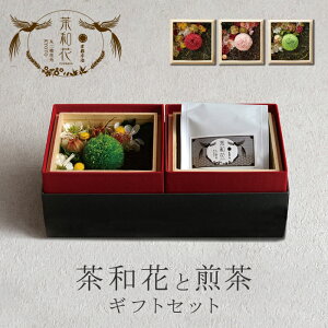 [IXX]bZ[WJ[ht ؔ肨ԂƐ̃Zbg Fw w\ TAJIROH[ a s F t[ t ؔ Mtg v[gvU[uht[