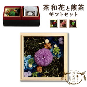 [sssZNg]bZ[WJ[ht ؔ肨ԂƐ̃Zbg s ̓ w\ TAJIROH[ a s F t[ t ؔ  Mtg v[gvU[uht[