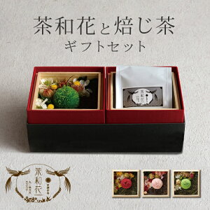 [IXX]bZ[WJ[ht ؔ肨Ԃ̃Zbg Fw ̓ w\ TAJIROH[ a s F t[ t ؔ  Mtg v[gvU[uht[ 