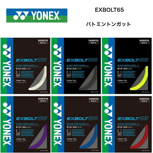 yKizYONEX lbNX oh~gKbg GNX{g65 10m EXBOLT 65 BGXB65