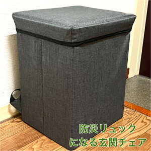 y2ZbgzhЃbNɂȂ錺փ`FA h o bN  ЊQ ֎q `FA hЃZbgɁI