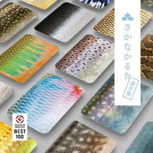 Ȃ邽 yWŁz24g 邽 낱 J[hQ[ CŗVׂ t q  m mߋ