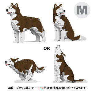 JEKCA �W�F�b�J�u���b�N (M�T�C�Y) �n�X�L�[ 4-in-1 �p�b�N 01C-M03 CM19HSK01-M03JEKCA