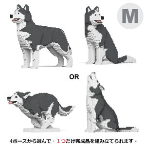 JEKCA �W�F�b�J�u���b�N (M�T�C�Y) �n�X�L�[ 4-in-1 �p�b�N 01C-M04 CM19HSK01-M04JEKCA