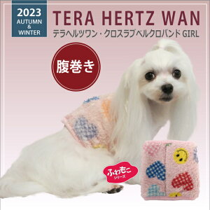 y^E^zH~N[N`[ ewcENXuxNohGIRL 7299 [SS3L] 