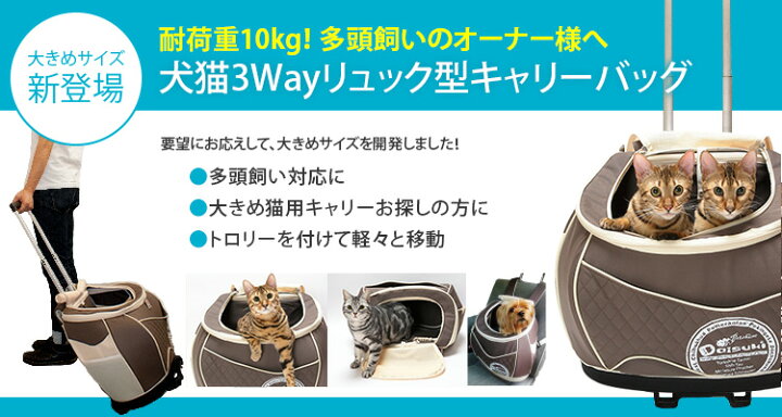楽天市場】【XLサイズ】犬・猫用兼用キャリーバック Daisuki 