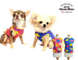 yzZ[JnIzN[N`[ H~ q[g POP^N q[gH{hH̃_u S2F 12206 S-LLTCY ST-LTTCY 