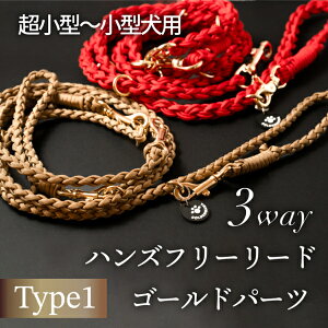 nYt[[hyS[hz Type1(^p) S6F@yGOLDENMAMAz [h
