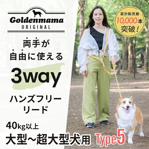 nYt[[h Type5(^`^p) S6F@yGOLDENMAMAz [h
