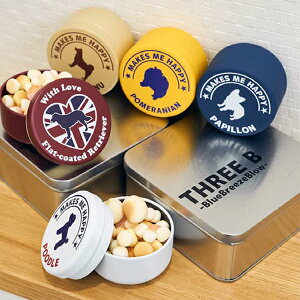 mini VGbg yz ÉEɌւ邨̐ʋZp̗puʁvB G