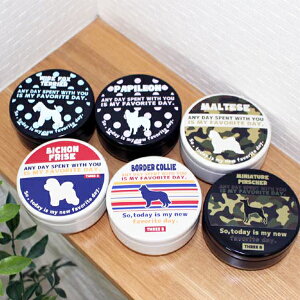  oGeB ÉEɌւ邨̐ʋZp̗puʁvB G