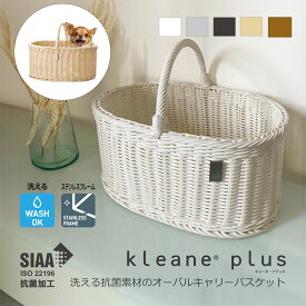 【公式】洗える 抗菌 バスケット キレーネ プリュス kleane 抗菌素材の オーバル ピクニックバスケット ドッグ キャリーバスケット 手編み かご 籠 取っ手 ハンドル シンプル SIAA 清潔 丈夫 安心 プラスチック製 ラタン エコバッグ ギフト 赤ちゃん 子供 ペット 保育園