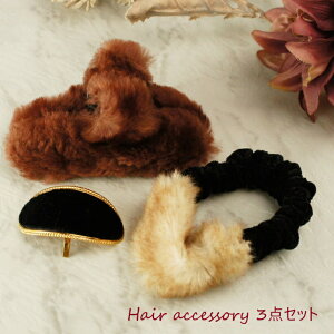 �G�R�t�@�[�w�A�A�N�Z�T���[�Z�b�g�w�A�A�N�Z�T���[ �w�A�A�N�Z �w�A�A�����W�܂Ƃߔ� �G�R�t�@�[ �t�F�C�N�t�@�[ �w�A�|�j�[�V���V�� �w�A�J�t �w�A�t�b�N�o���X�N���b�v �H�~ �J�W���A