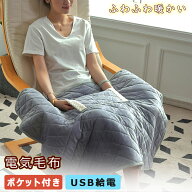 【1年保証★送料無料】電気毛布 掛け敷き兼用 ウェアラブル USB給電 ポケット付き スライド温度調節 3段…
