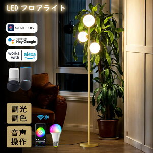 �t���A���C�g �k�� �ԐڏƖ� ������� �������� Matter�Ή� Alexa�Ή� ���r���O �V���v�� ���� �Q�� ���r���O ���� ����&�g���ȒP �������� �}���`�J���[ �x�b�g���[�� �X�^���h���C�g �Ɩ��X�^