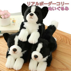u_X[p[SALE 50%OFF^v ʂ A Aȃ{[_[R[ 킢  ̂ʂ l` H|i Ck  NX}X q@ a LO@v[