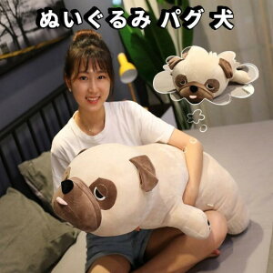 u_X[p[SALE 50%OFF^vʂ pO     _炩 v[g YQ  u Ƌ̑80cm