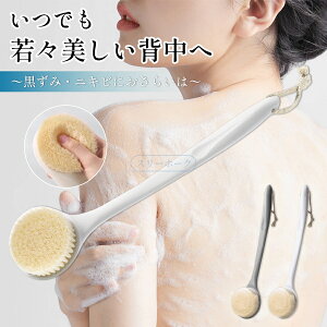 {fBuV {fB[uV w _炩 O  ɍ ɍז C wjLr h~ jLr PA \tg uV oXObY }bT[W zCg _炩 ł d