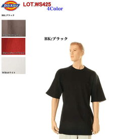 Dickies WS425 ディッキーズ Tシャツ Performance knit shirt パフォーマンスニットシャツ4Color