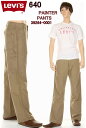 Levi's 00640-1590 リーバイス カーペンターパンツ Loose Fit Straight Carpenter Pants ジップフライ ルーズ ストレート ペインター【裾上げ無料 送料無料 リーバイス ルーズ ジーンズ LEVI'S 569系 コットン100％ ストレッチ ペインターパンツ デニム生地 ダーク 新品】