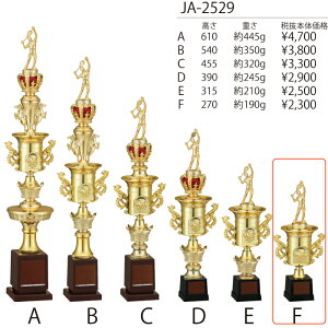 gtB[@JC-2619F 27cmy㖳zWIN@DJbv@c@Ɓ@LOi@싅@TbJ[@St@LOi@\@Ɓ@Ј@JB-2529F