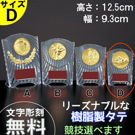 ★楽天1位★ 樹脂製タテ CCL-5553D 高さ12.5cm 【文字代無料】トロフィー　優勝カップ　卒団　卒業　記念品　野球　サッカー　　ゴルフ　記念品　競技選択　フレア　アクリル製　 CBL-5553D
