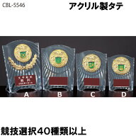 ★楽天1位★ アクリル製タテ　CCL-5546B 高さ16cm【文字代無料】トロフィー　卒団　卒業　記念品　ゴルフ…